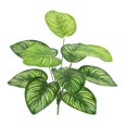 thumbnail image 1 of Artificial Plants Home Decor Green Photo Props Green Garden Decoration for Shelf F, 1 of 9