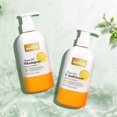 thumbnail image 3 of Herbishh   Argan Oil Shampoo & Conditioner,2 Piece Set, 3 of 6