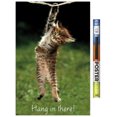 thumbnail image 1 of Famous Kitten Hang In There Poster Wall Poster, 22.375" x 34", 1 of 5
