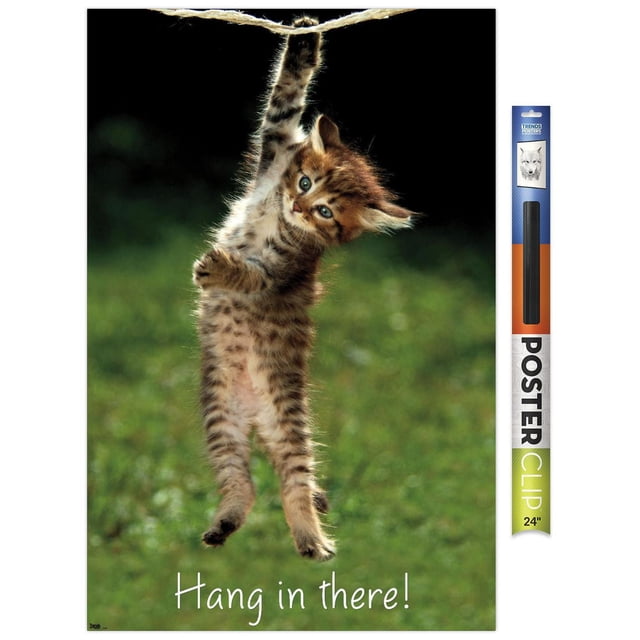 Famous Kitten Hang In There Poster wall poster showing a brown tabby kitten hanging by one paw from a rope against a blurred green background, with white 'Hang in there!' text at the bottom, printed on glossy photo art paper, 22.375 by 34 inches, lightweight and easy to hang with included mounts, suitable for decorating bedrooms, offices, or dorms.