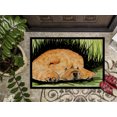 thumbnail image 3 of Caroline's Treasures SS8525MAT Paillasson Intérieur Extérieur Chow Chow 18 x 27 Po, 3 of 4