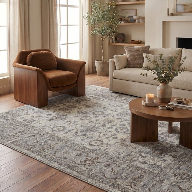Rug Branch Sakarya Collection Oriental Distressed Indoor Area Rug