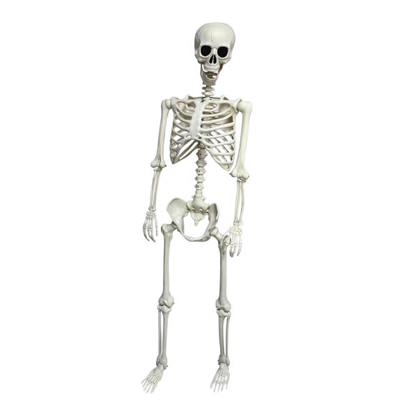 Aihimol Halloween Life Size Skeleton, 65" Skeleton Decor Realistic Full Body Bones Poseable Halloween Skeleton Prop with Movable Joints for Indoor Outdoor Party Haunted House Lawn Décor