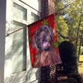 thumbnail image 2 of Carolines Treasures SC9424CHF 28 x 40 Po Labrador Rouge Vert Flocon de Neige Vacances Noël Maison Taille Drapeau de Toile, 2 of 4