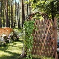 thumbnail image 3 of DOLITY Treillis de Clôture en Bois Extensible, Clôture à Treillis Rétractable pour Jardin, pour Entrée et Maison, 3 of 9