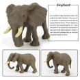 thumbnail image 4 of 12PCS Mini Forest Animals Figures Toy Simulation Forest Animals Figurines Playset PVC Wild Animal Cognitive Toys For Children, 4 of 7
