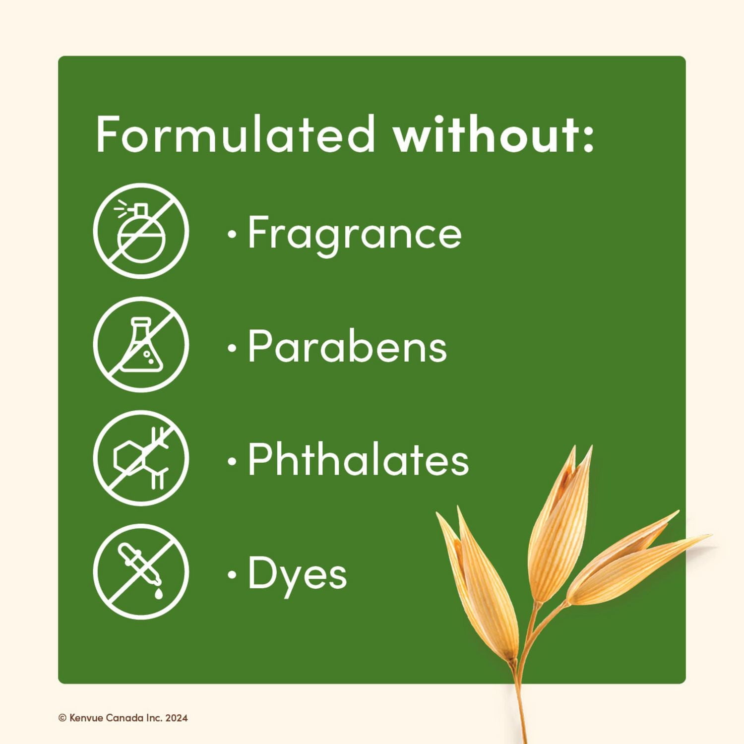 Crème hydratante quotidienne Aveeno avec avoine prébiotique et beurre de karité, pour peau sensible, normale à sèche, hydrate pendant 48 heures, sans parfum, non grasse et non comédogène, 425 g