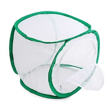 1 Pce Cage d'Habitat Pliable Portable pour Insectes et Papillons, Enceinte