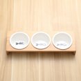 thumbnail image 4 of Stylish Elevated Ceramic Pet Bowl Set with Bamboo Stand for Indoor Cats and Small Dogs, 4 of 4