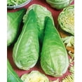 thumbnail image 2 of GSDWIUEW 150+ Lévrier Chou Vert Légumes Précoces, 2 of 8