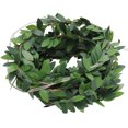 thumbnail image 3 of FRCOLOR Fairy Lights for Room Decor with Green PVC Vine Leaves and Copper Wire 2 Meter 20 LED,78.74"X1.97"X1.18", 3 of 4
