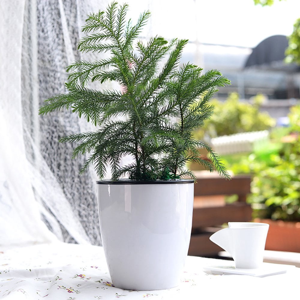 Self Watering Planter Pot  5.9inch Self Watering Planter White Flower Plant Pot with Wick Rope  Decorative Automatic Water-Absorbing Planter Pot for House Plants  Flowers - by