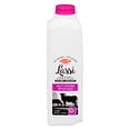 thumbnail image 1 of Hans Dairy Salty Spiced Yogurt Smoothie Lassi, 1 of 7
