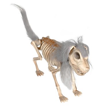 Rongfmy Halloween Dog Skeleton Decoration Multifunctional Lightweight 15x3.1x9.8inch