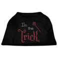 thumbnail image 1 of Je Suis le Truc Strass Chien Chemise Noir Med (12), 1 of 1