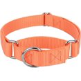 thumbnail image 1 of Country Brook Petz Martingale Dog Collar - Heavy-Duty Training Collar with No Buckle - Service Dog Collar for All Pups - Vibrant, Colorful Collection (Mango, 1 Inch, Large), 1 of 8