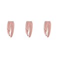 thumbnail image 3 of kurtrusly Pantalon d'Hiver Chaud et Rester à la Mode pour Femmes Conçu pour le Confort Rose M 3Set, 3 of 6