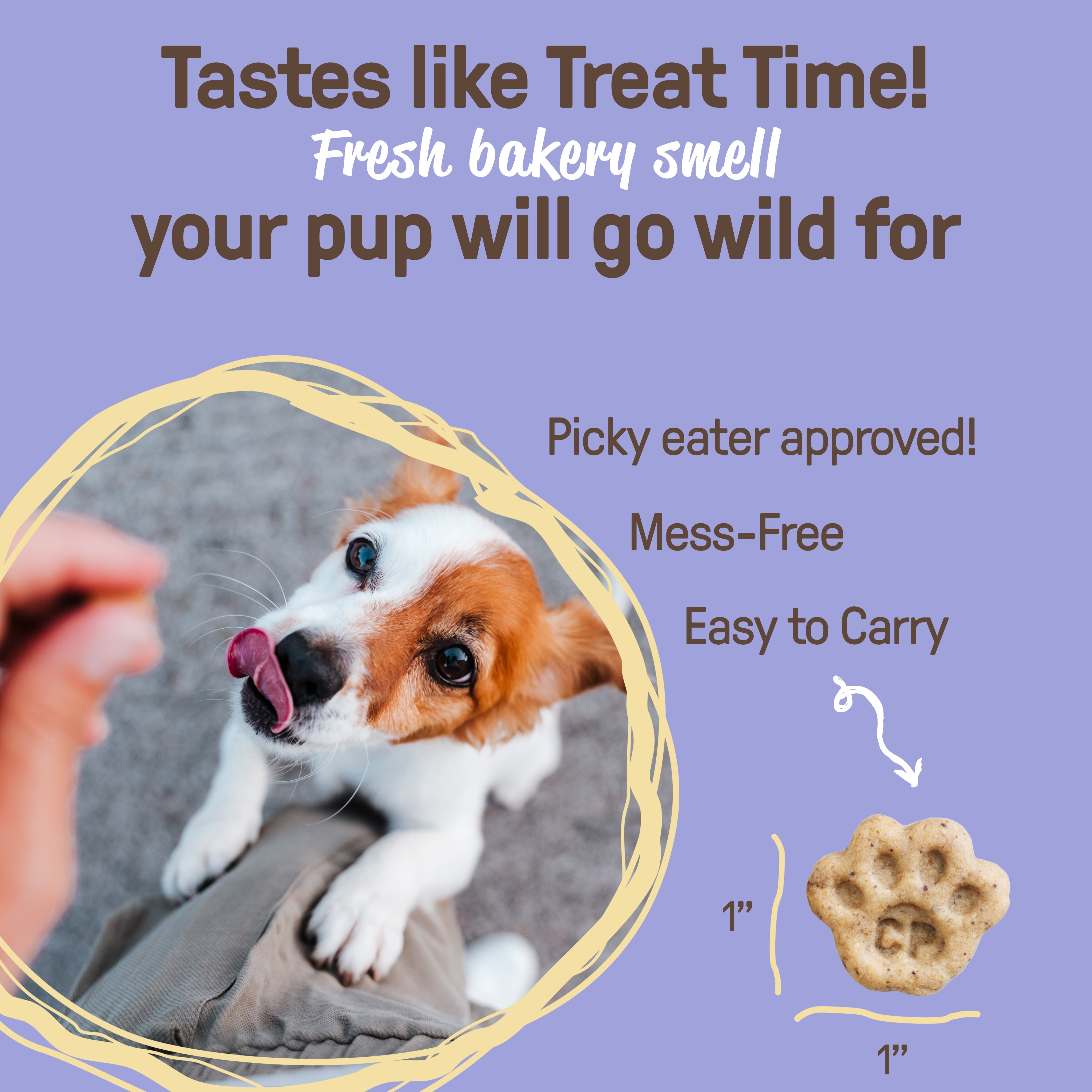COOKIE PAL Blueberry & Pumpkin Soft Baked Bites, Human Grade, Organic Dog Treats 500g