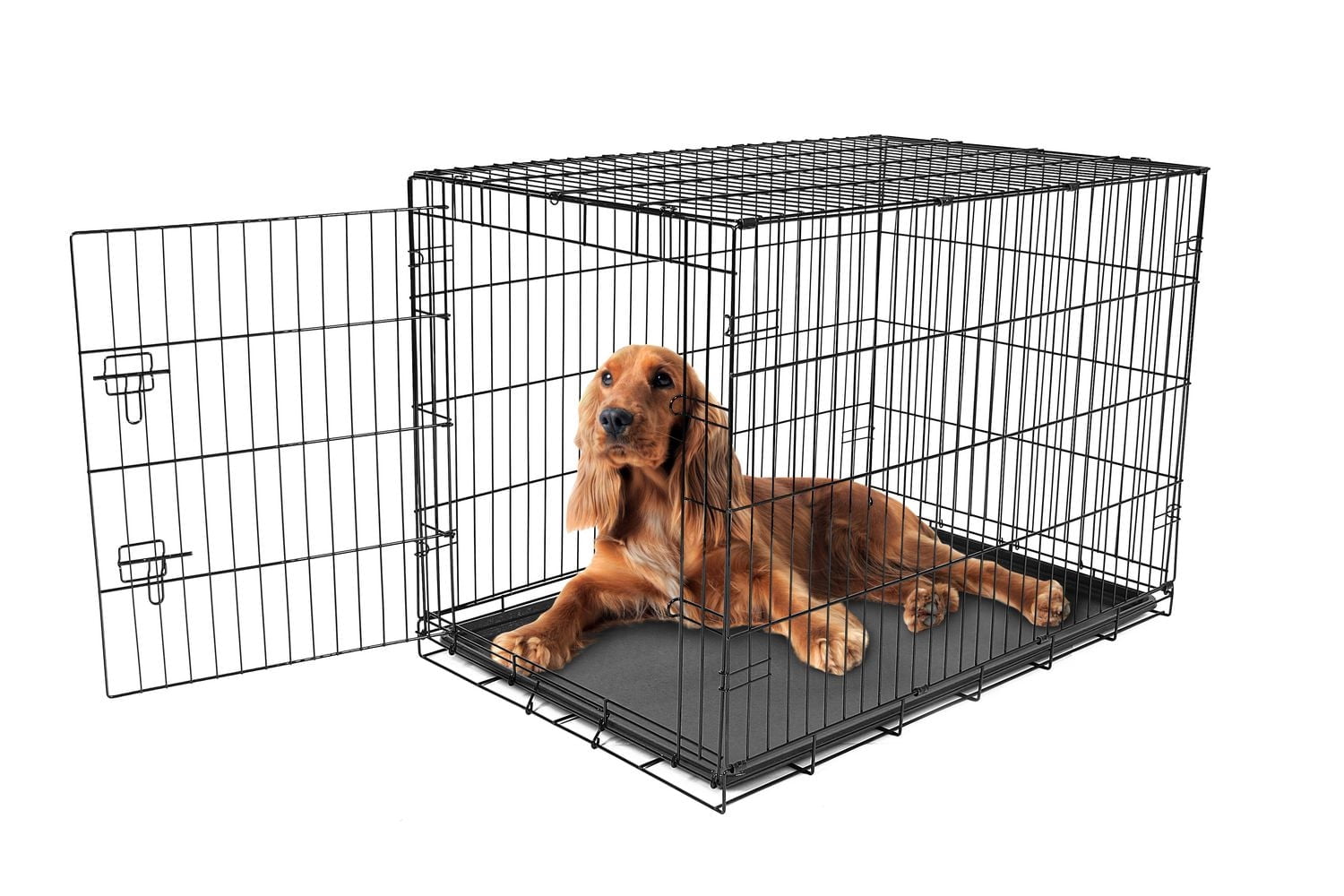 Carlson Pet Products Secure And Compact Single Door Metal Dog Crate
