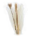 thumbnail image 1 of DOLITY 30Pcs Natural Dried Pampas Grass Bunch Bouquet Phragmites Reed Flower Decoration B, 1 of 6