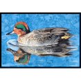 thumbnail image 1 of Carolines Treasures 8830MAT Tapis Intérieur Ou Extérieur de Canard Sarcelle 18 x 27 Po, 1 of 4