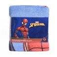 thumbnail image 5 of Spiderman Micro Raschel Blanket, 5 of 5