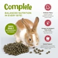 thumbnail image 4 of Living World Aliment Complet pour Lapins, 1.4 kg, 4 of 8