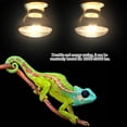 thumbnail image 3 of Heating 4Types 220-230V Night Heat Light Lamp Bulb for Bird Snake Reptile Pet Amphibian, 3 of 7
