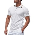 thumbnail image 2 of Weiqiqre Men Shirts Short Sleeve Button Down Shirts Classic Stripe Golf Polo Collared Work Shirts, 2 of 9