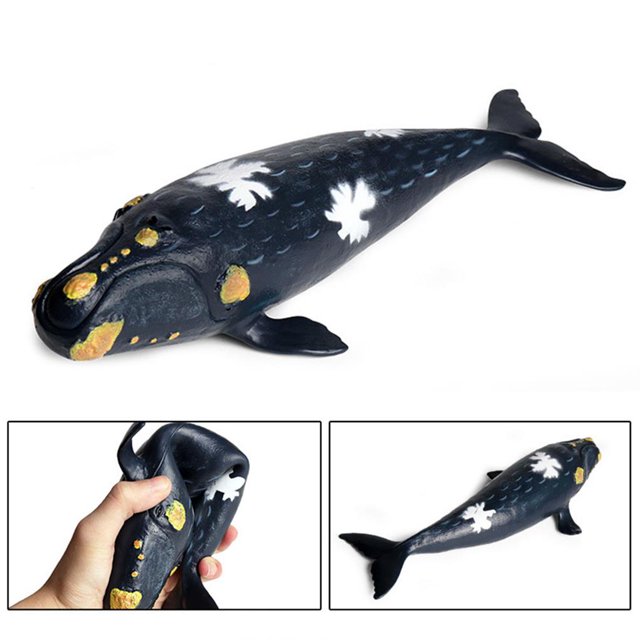 Wweixi Modèle d'Animal Marin de Simulation Requin Grande Bosse Grande Droite Jouets No.1