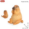 thumbnail image 2 of Oenux Wild Animals Simulation Rodent Marmot Mouse Model Squirrel Rat Chinchilla Action Figure Figurine Collection Cute Kid Toy, 2 of 10