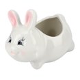 thumbnail image 1 of Bonsai Pot,Cute Animal Shaped Succulent Resin Flower Pot Succulents Pot Exceptional Craftsmanship, 1 of 8