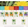 thumbnail image 2 of Traditional Medicinals Thé, Thé Biologique aux Feuilles et Racines de Pissenlit, 16 Sachets, 2 of 4