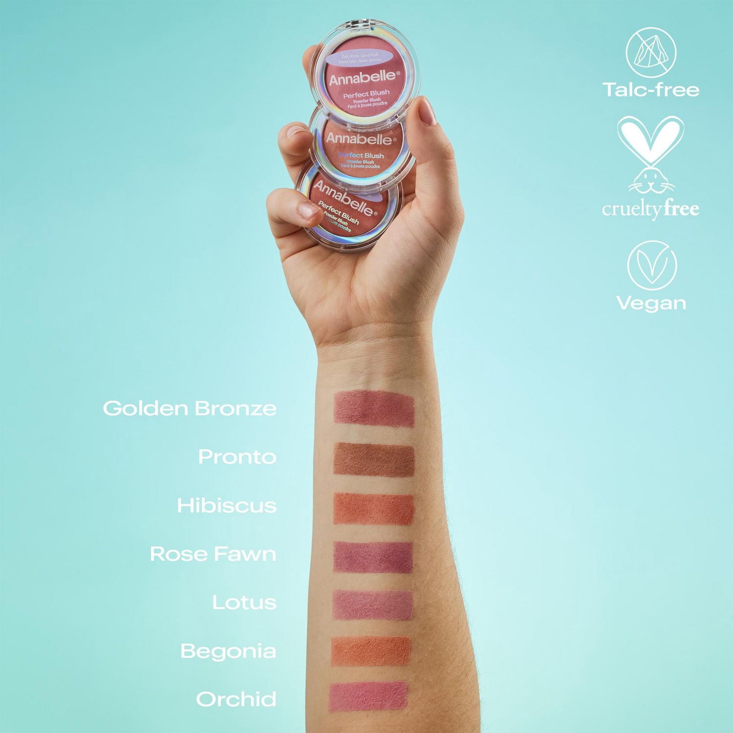 Annabelle Fard à joues poudre sans talc Perfect Blush