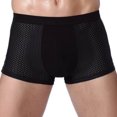 thumbnail image 1 of DPTALR Culottes en Soie Glacée Culottes Respirantes Boxeurs en Maille de Nylon, 1 of 2