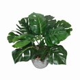 thumbnail image 3 of Lerman Decor's potted plant, 3 of 4