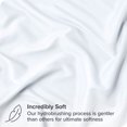 thumbnail image 2 of Bare Home Pillow Sham Set - Premium 1800 Collection - Double Brushed - Euro, White, 2 of 7