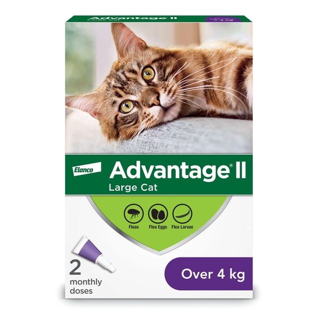 Advantage II Flea Treatment for Large Cats packaging showing a close-up of a tabby cat with green eyes lying on a grey surface. The box highlights protection against fleas, flea eggs, and flea larvae for cats over 4 kg, including two monthly topical doses for parasite control.