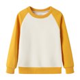 thumbnail image 1 of Cowsor Chandail à Col Rond pour Garçons et Filles, Chandail Colorblock à Manches Longues, Hauts Unis Décontractés, 1 of 4