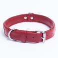 thumbnail image 4 of ROTTERDAM BONES Leather Dog Collar Single- Row Bones, 4 of 4