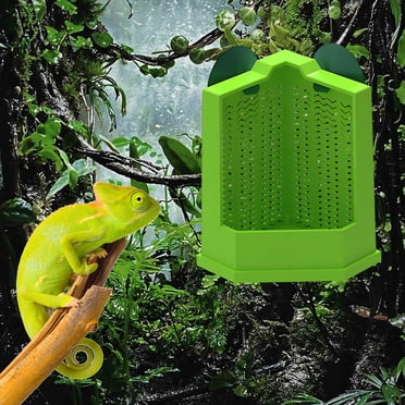 Mangeoires pour Lézards et Grillons avec Ventouses Pouvant Être Suspendues pour Placer des Mangeoires pour Reptiles et Geckos et des Ventouses