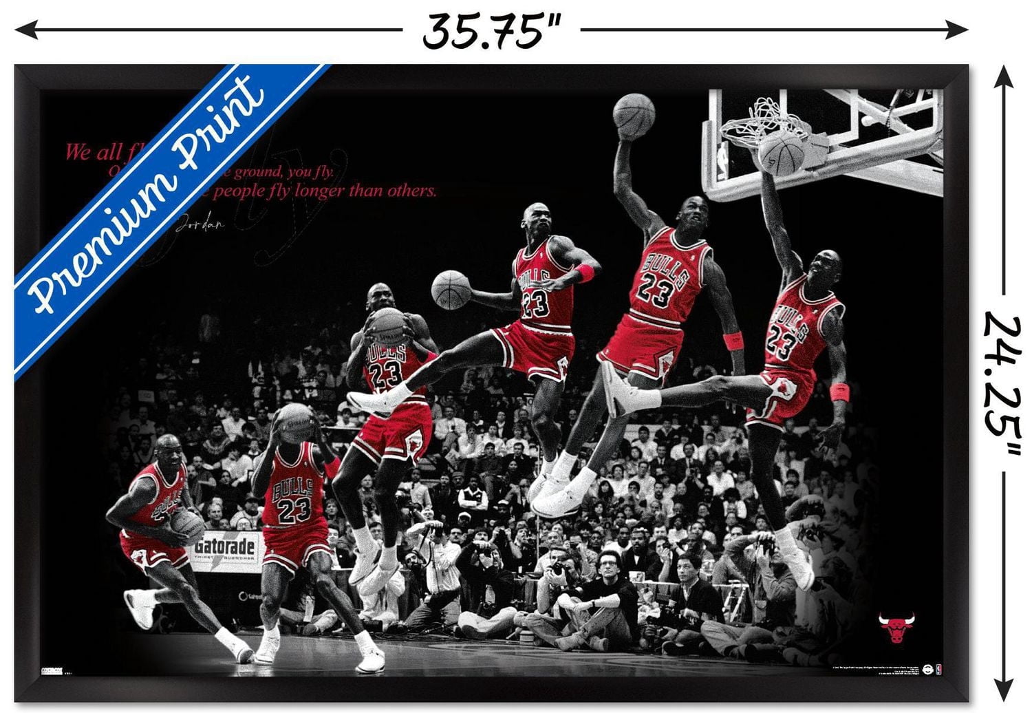 Michael Jordan - Voler
