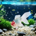 thumbnail image 4 of Meitianfacai Artificial Goldfish Decorations Realistic Floating Plastic Fish for Aquarium Pond and Water Feature Decoration, 4 of 6