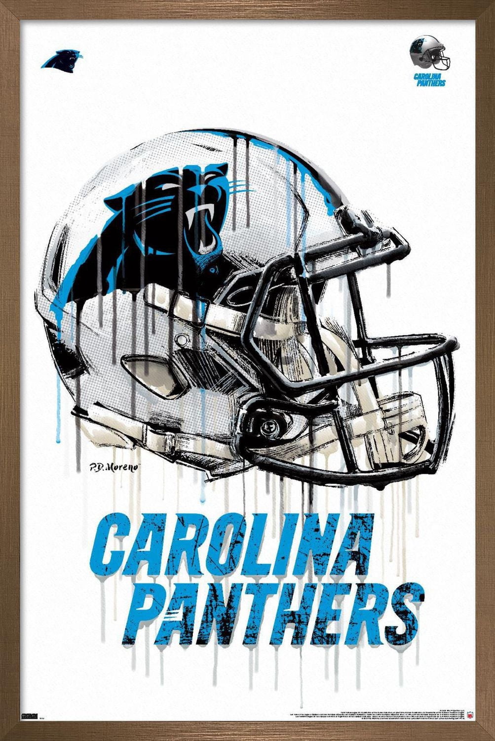 NFL Carolina Panthers