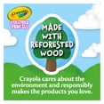 thumbnail image 2 of 48 Crayons de couleur Crayola, 2 of 7