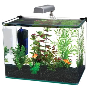 PENN-PLAX Radius Kit de bureau Nano Aquarium – Livré avec lumière, filtre interne et tapis – 5 Citernes à gazon