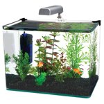 PENN-PLAX Radius Desktop Nano Aquarium Kit – Come with Light, Internal Filter, and Mat – 5 Gallon Tank