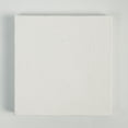 thumbnail image 1 of North Shore mini canvas, 1 of 4