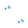 thumbnail image 1 of stanreset Waterproof Nose Clip Swimming Anti-noise Earplug for Protection Ear Protector Blue 2Set, 1 of 6