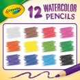 thumbnail image 3 of Crayola Classpack Crayons Aquarelle, 240 Unités, 20 Chacun de 12 Couleurs, Idéal pour la Salle de Classe, Éducatif, Outils d'Art, 3 of 8